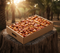 Sukkari Rutab Dates
